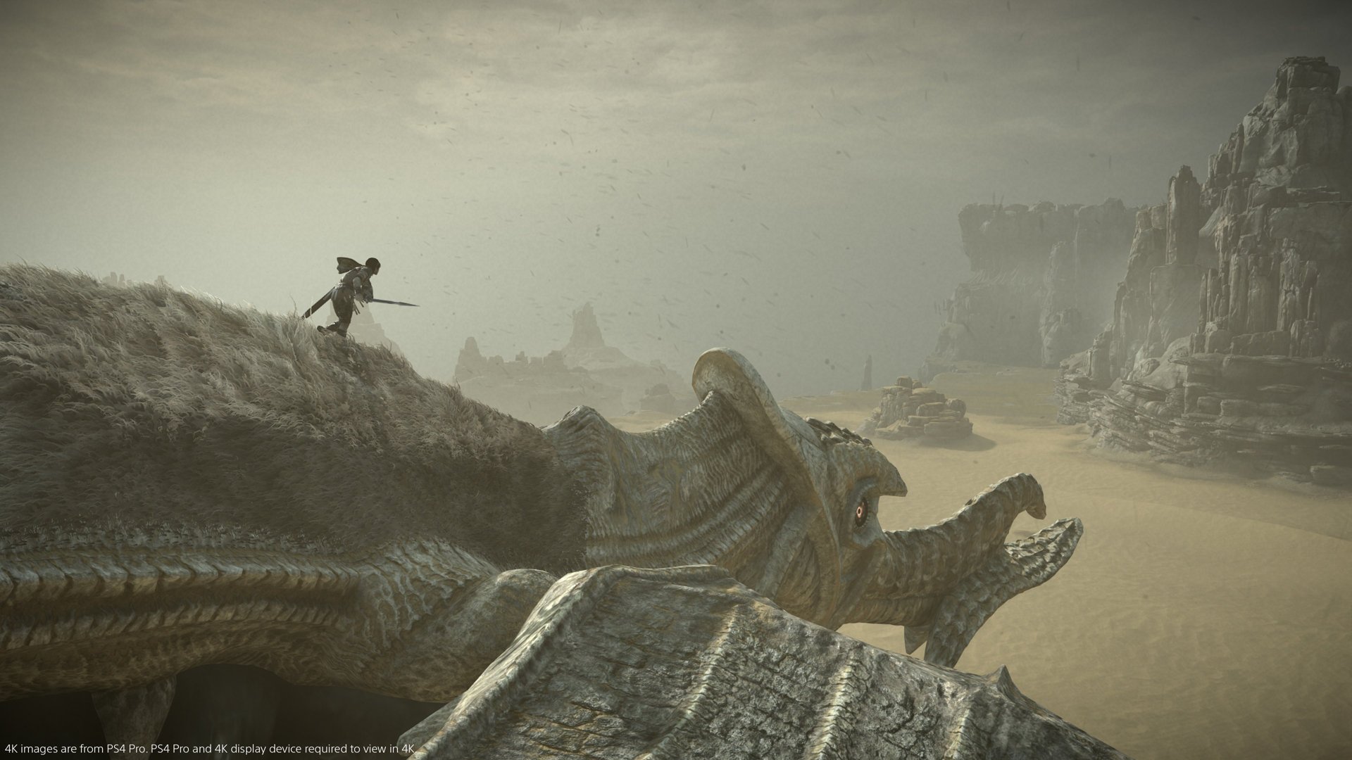 Shadow of the Colossus Remaster